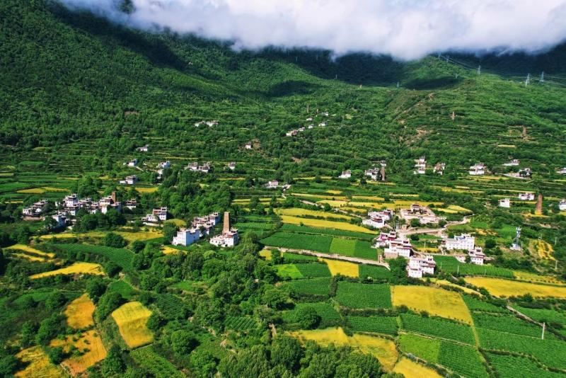 丹巴县：优化产业布局 推动现代农业产业高质量发展