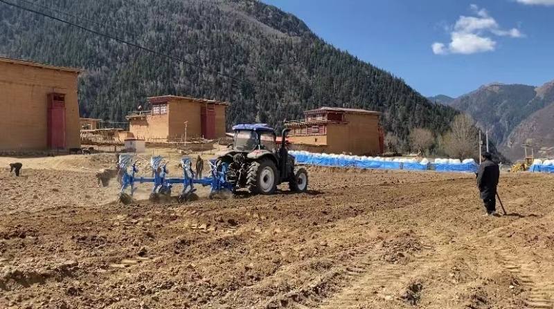 推良种 传良法 白玉奏响春耕备耕“进行曲”