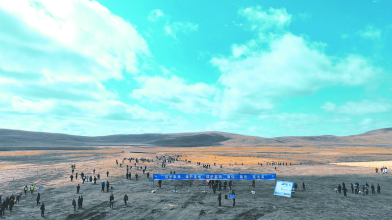 若尔盖县组织开展全民控鼠种草活动