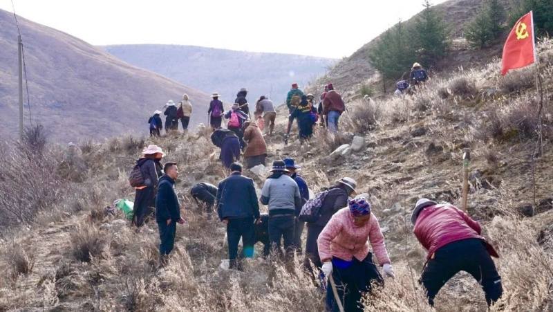 “红果果”化身“金豆豆” 道孚变叶海棠鼓起2000余户村民腰包