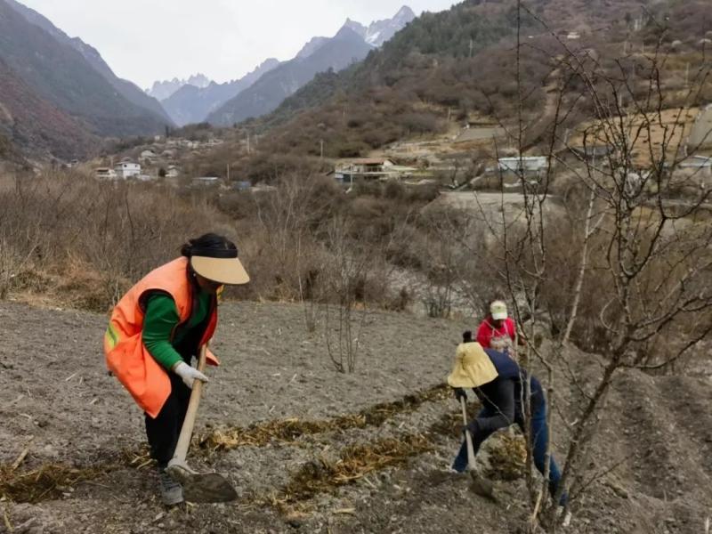 康定：执党建引领劲笔 绘沃野春耕“丰”景