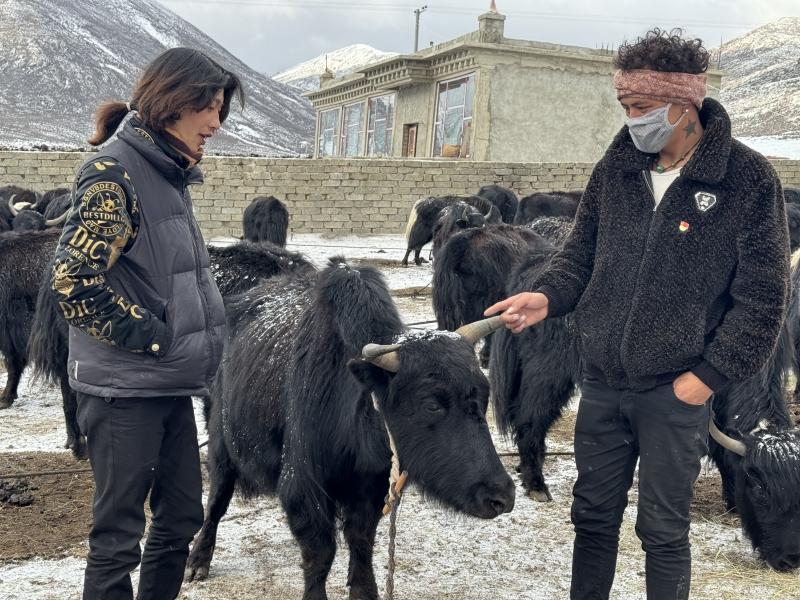 ​理塘县村戈乡：让无职党员“无位”却“有为”