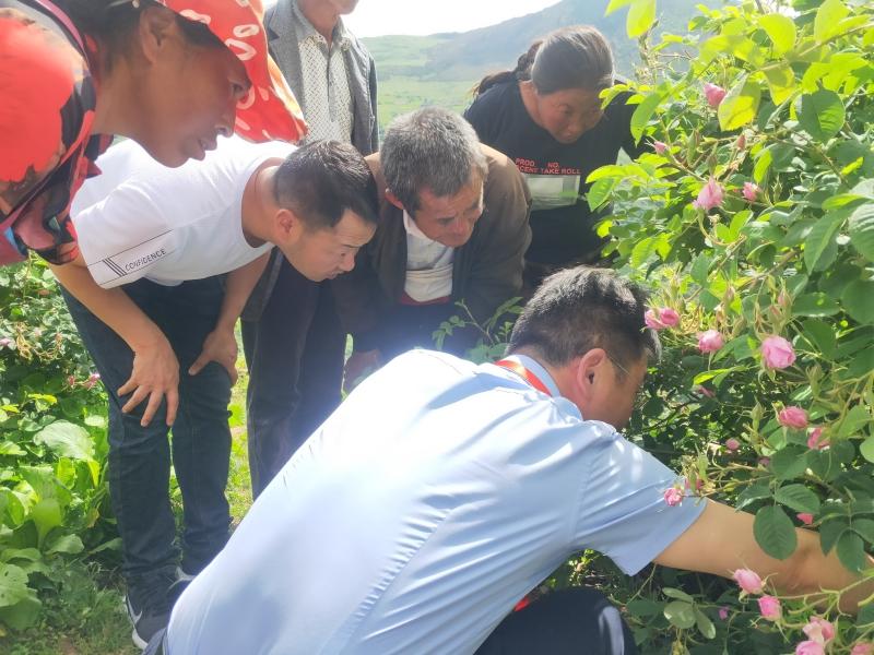 小金县：“四个注重”全力推进乡村人才振兴