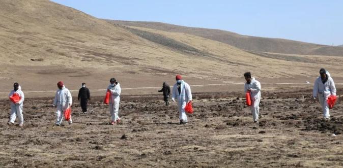 石渠县：开展2024年春季有害生物综合防治大会战