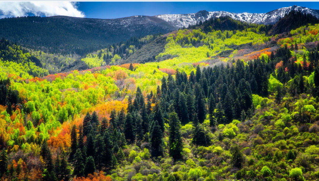 白玉县：“四治”提升火灾隐患治理成效