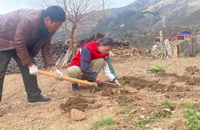 白玉县麻绒乡：让庭院经济既有“看头”又有“赚头”