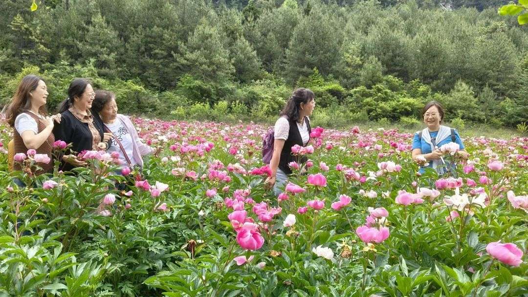 康定色龙村篝火音乐会点亮乡村游