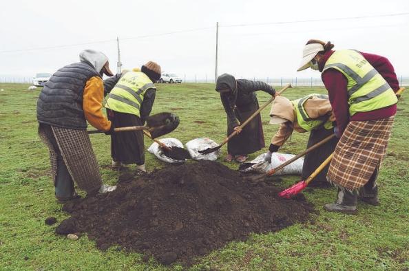 若尔盖：综合运用多种手段治理草原沙化