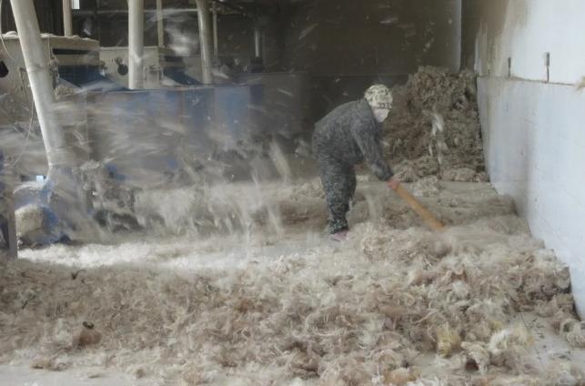 松潘县：首家牦牛绒加工厂投产