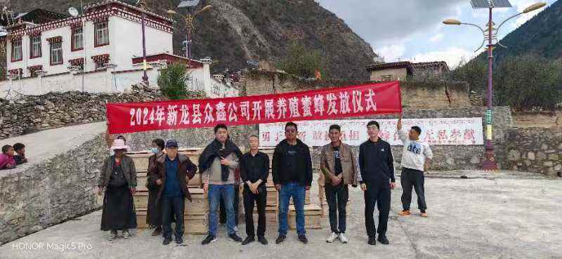 新龙县绕鲁乡基洛村：破解养蜂“新蜜码”，铺就乡村振兴“甜蜜路”