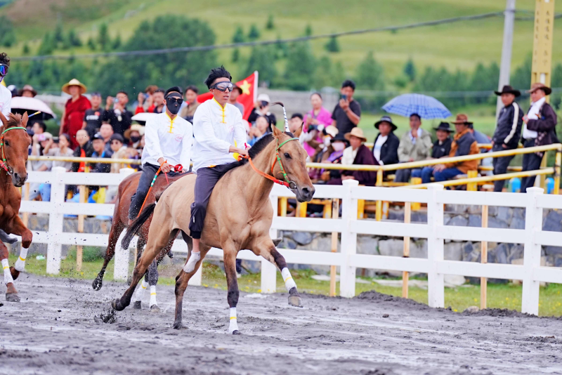 甘孜州首个！“大地多巴胺色彩”体验活动吸引全国游客