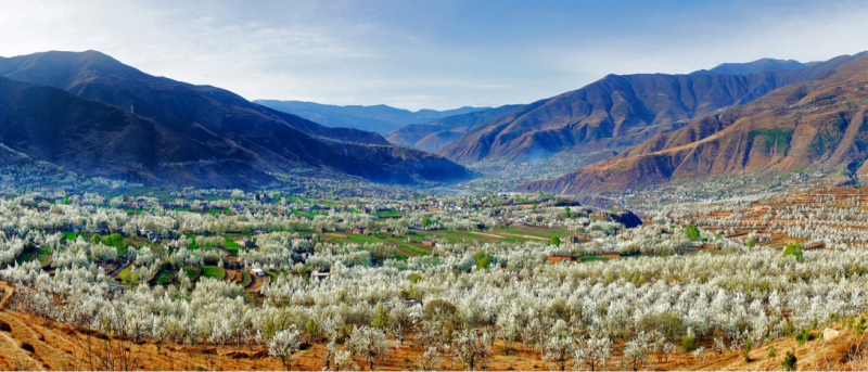 金川县咯尔乡复兴村：以民族团结之笔书写乡村旅游新篇章