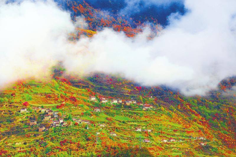 实施文旅新项目、拓展消费新场景 黑水彩林更“多彩”