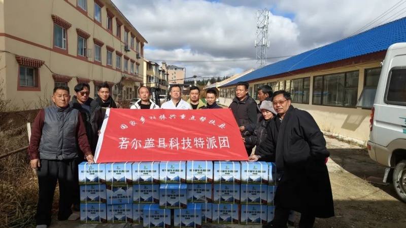 科技“破冰”，若尔盖牦牛越冬跨过两道难关