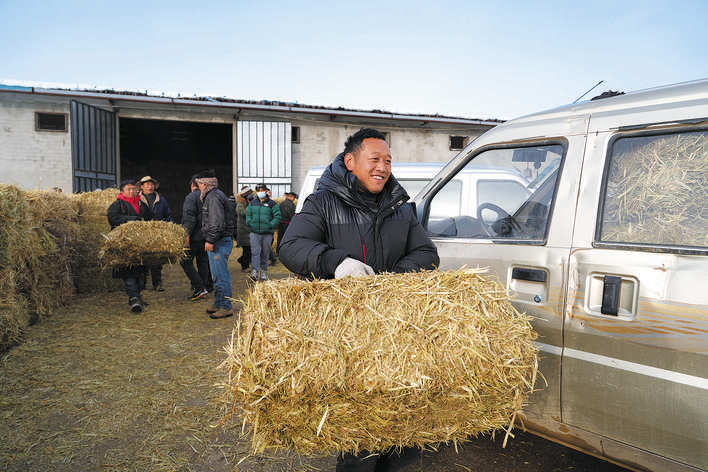 阿坝县政府免费调拨354吨饲草料发放给牧民