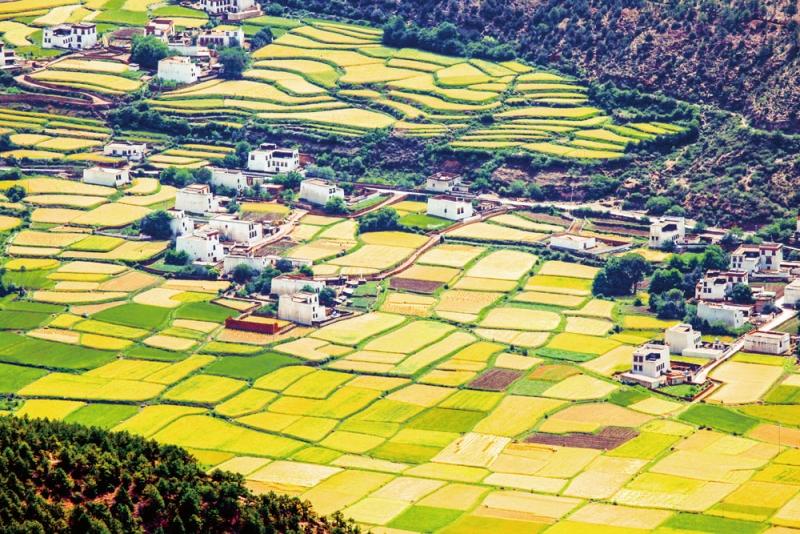 高原小城为乡愁“留白”——乡城县传统村落保护利用经验全国推广